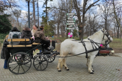 IMG_20220308_140607