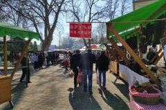 IMG_20220303_135430
