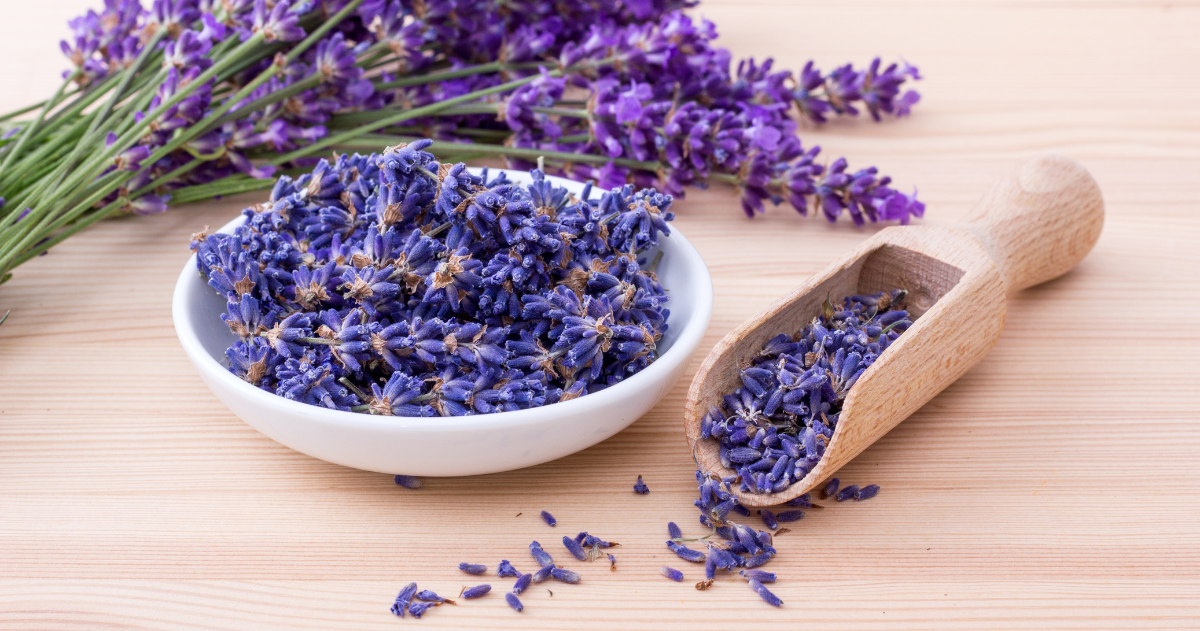 lavanda prirodni lek za nesanicu
